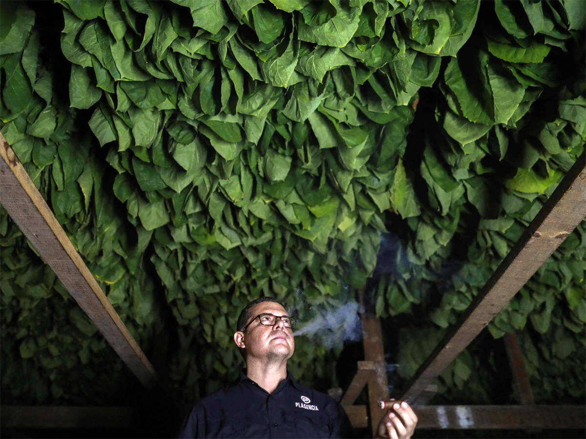 columbus flavored tobacco ban update Columbus proposes ban on flavored tobacco products
