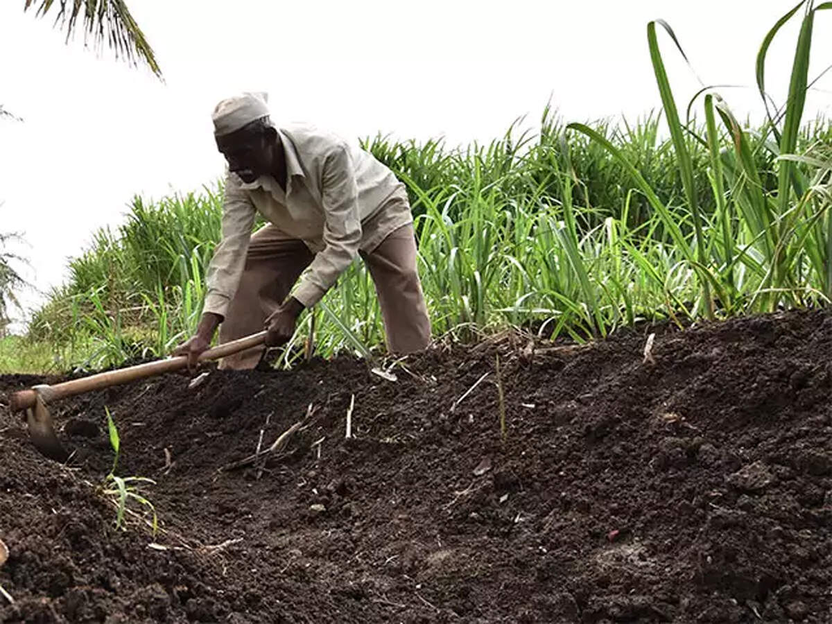 Solar scheme to assure Rs 1 lakh income for farmers