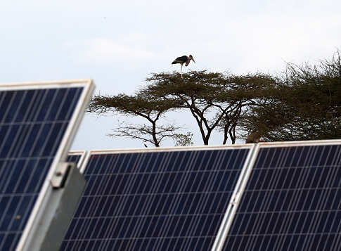 Budget 2019: Solar power’s budgetary allocation rises by a mere 1.1 per cent