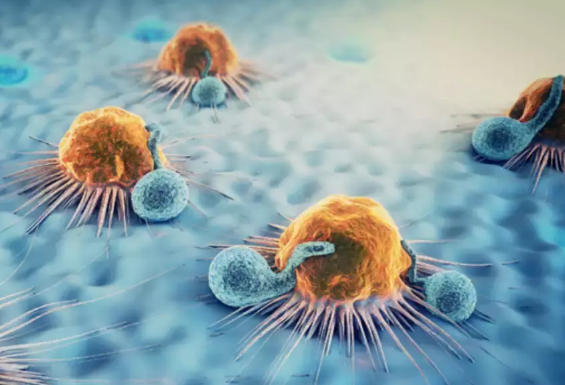Chinese scientists develop tumor-specific anti-cancer therapy: study
