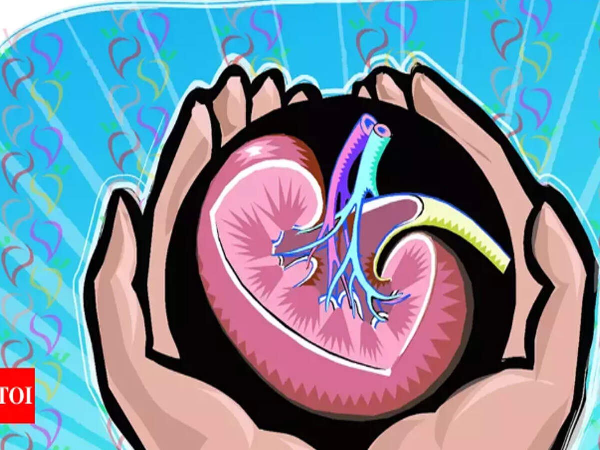 Patna : Kidney transplant patients may get free drugs for life
