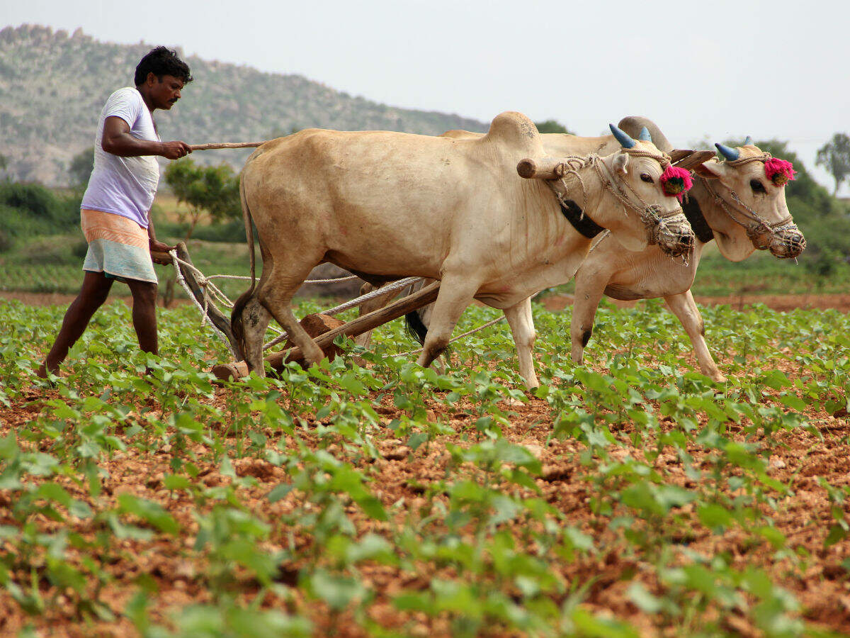 India's agricultural farms get a technology lift