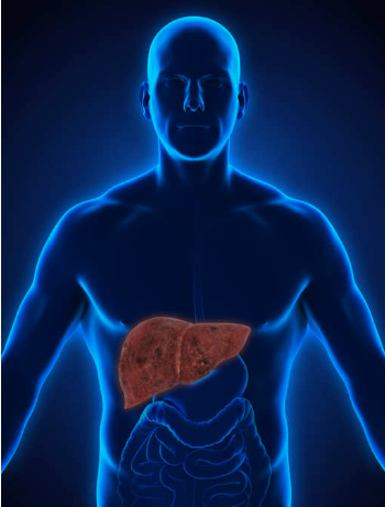 Hepatitis B and C major killers, but few know it