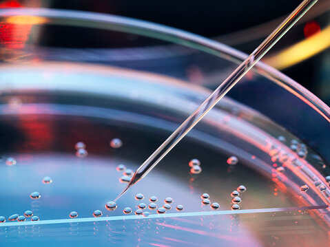 Researchers identify gene linked to tooth healing