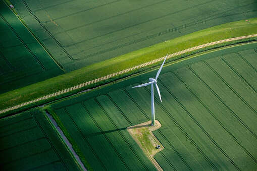 AP to target only corrupt green projects