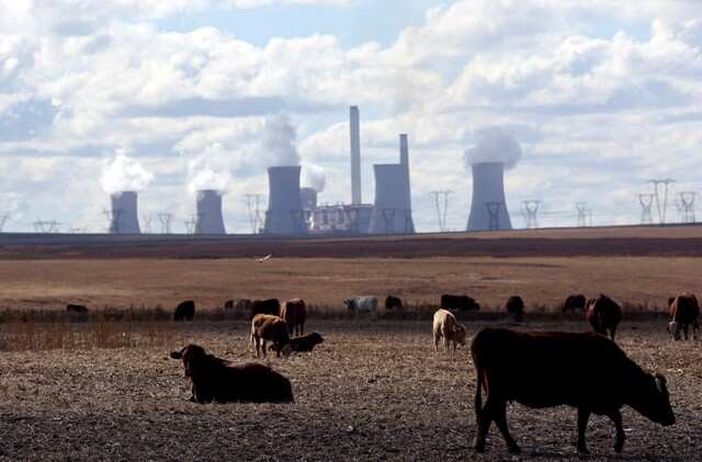 Cows graze as steam rises from the cooling towers of Matla Power Station, a coal-fired power plant operated by Eskom in Mpumalanga province, South Africa, May 20,2018. REUTERS/Siphiwe Sibeko/File Photo