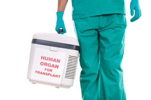 Nagpur sees 100th kidney donation