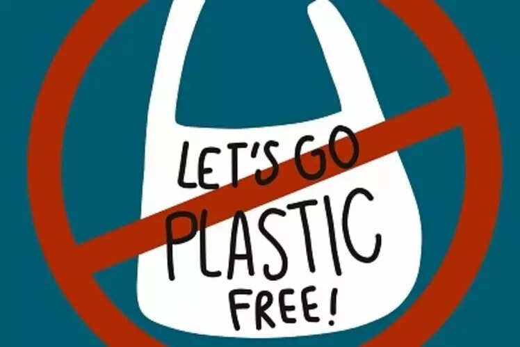 Petition filed over e-tailers’ plastic use