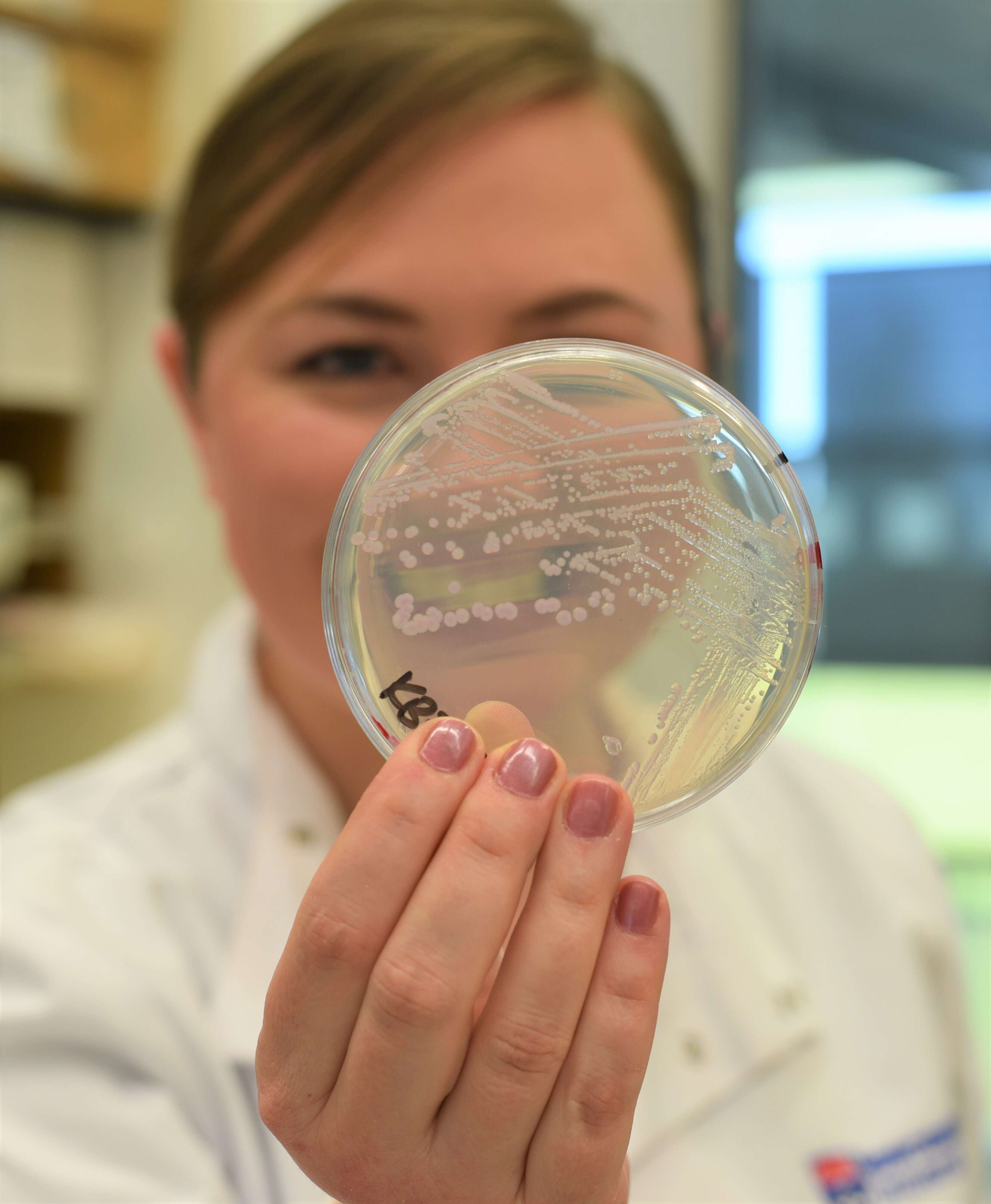 Cause of antibiotic resistance identified