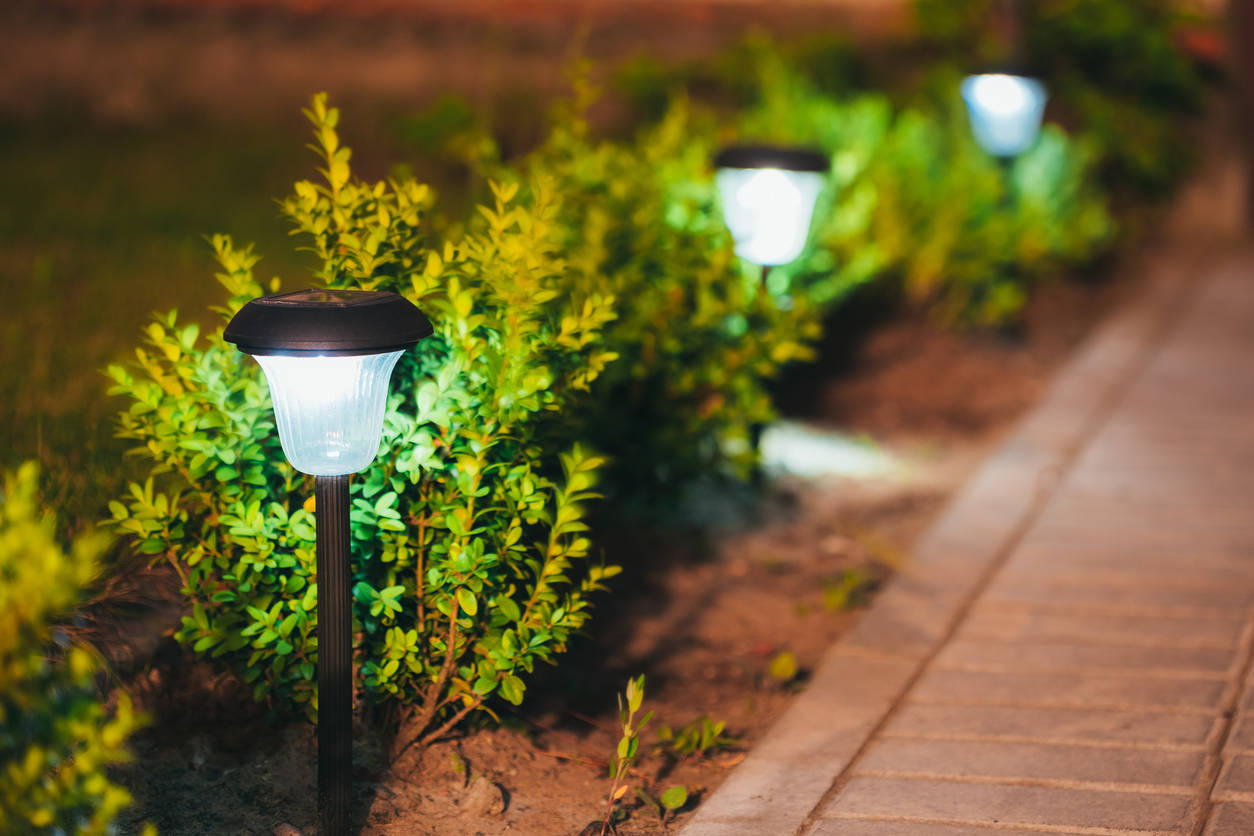 Best solar lights for your garden