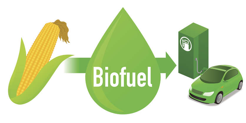 Sustainable Biofuels- Paving the Way Towards a Greener Future