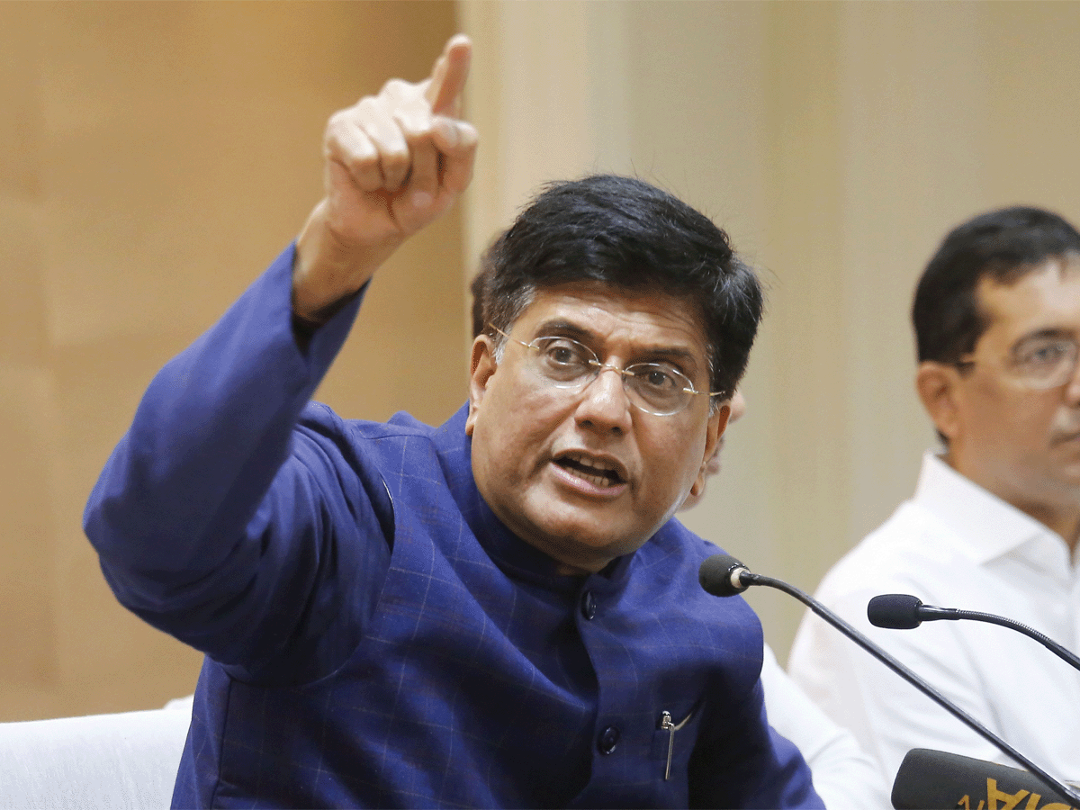 1 million new jobs should not be at the cost of several million jobs: Piyush Goyal