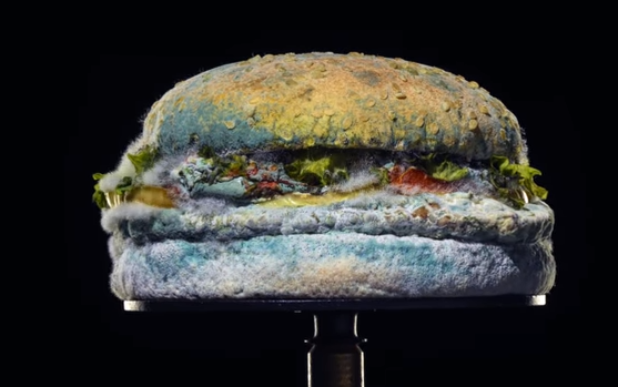 Ad Campaign Burger King Breaks The Mold With New Advertising Campaign Marketing Advertising News Et Brandequity