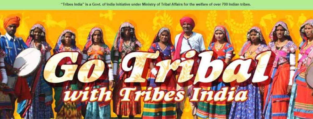 History of TRIFED, TRIFED - Tribes India