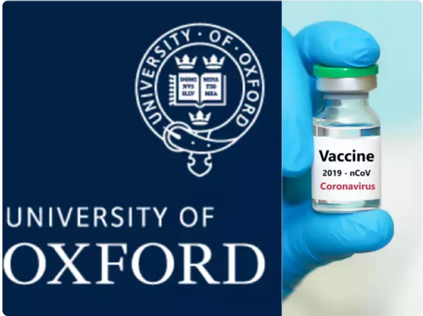 Oxford coronavirus vaccine prompts immune response in early test, Health  News, ET HealthWorld