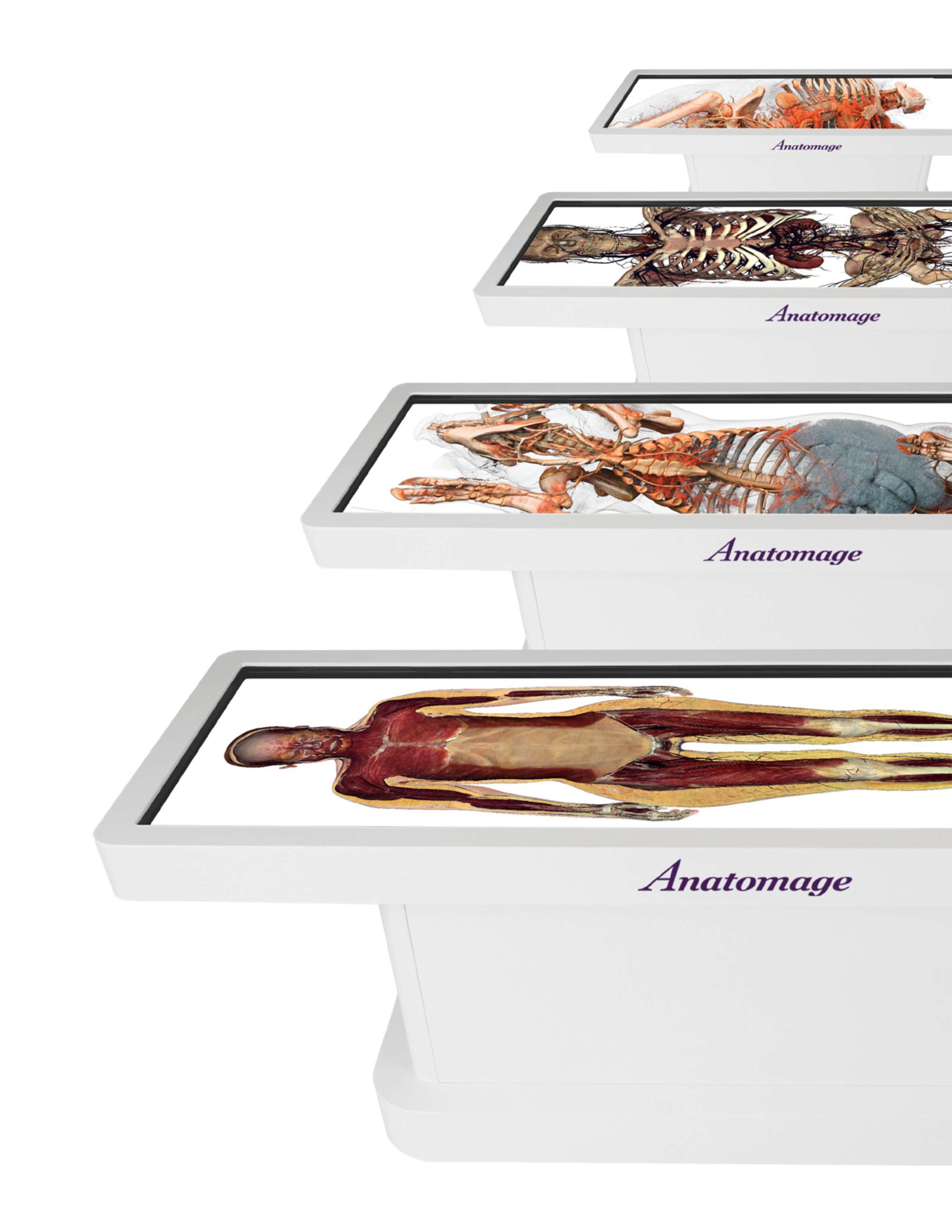 Trivitron Healthcare collaborates with Anatomage Inc for Virtual Anatomy Dissection Table