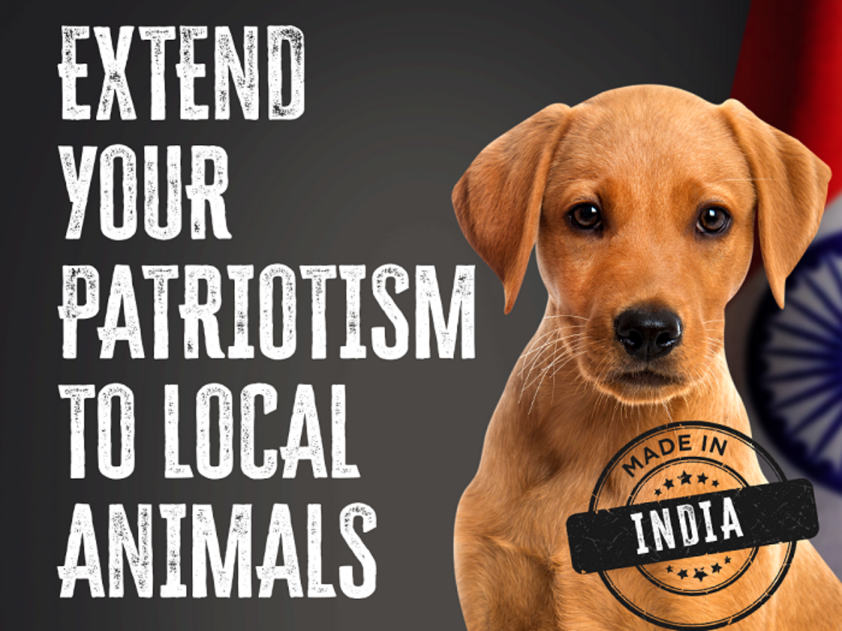 A campaign to encourage 'Vocal For Local Pets', Marketing & Advertising  News, ET BrandEquity