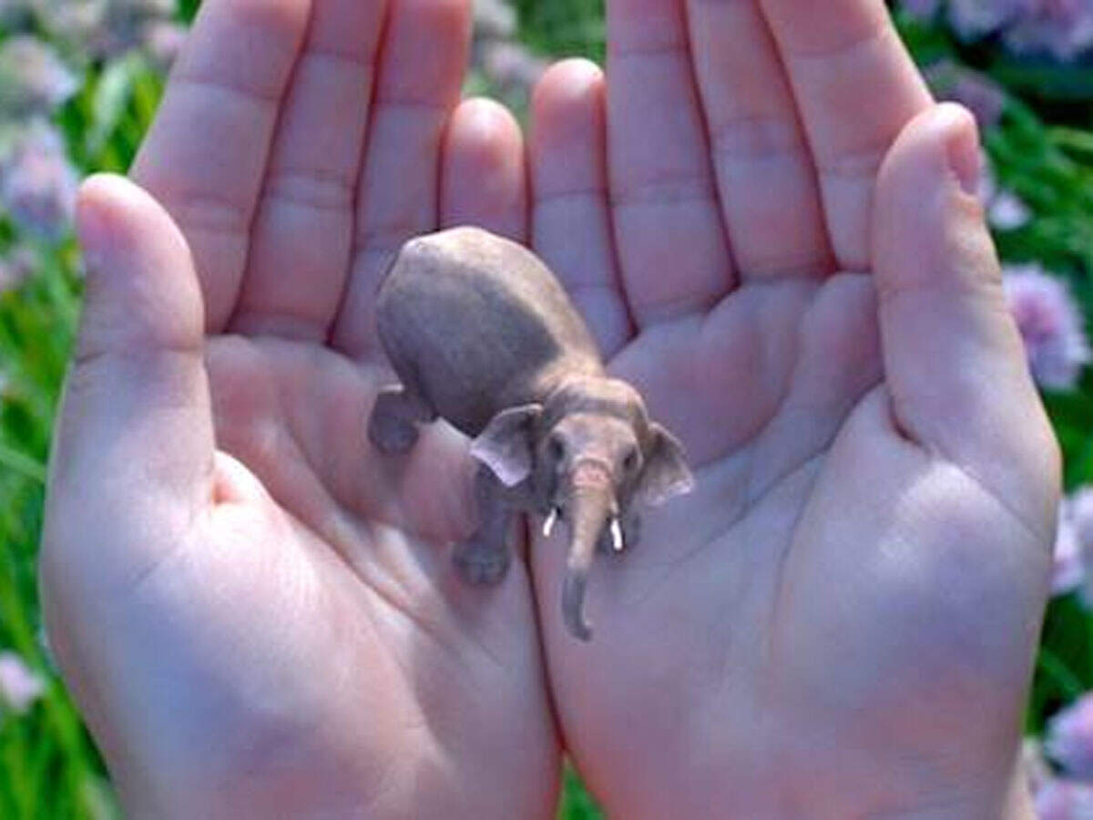 Magic Leap tried to create an alternate reality. Its founder was already in one