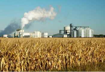 Govt notifies modified scheme on ethanol production