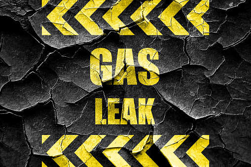 NGT directs committee to submit report on ammonia gas leak at IFFCO plant in UP