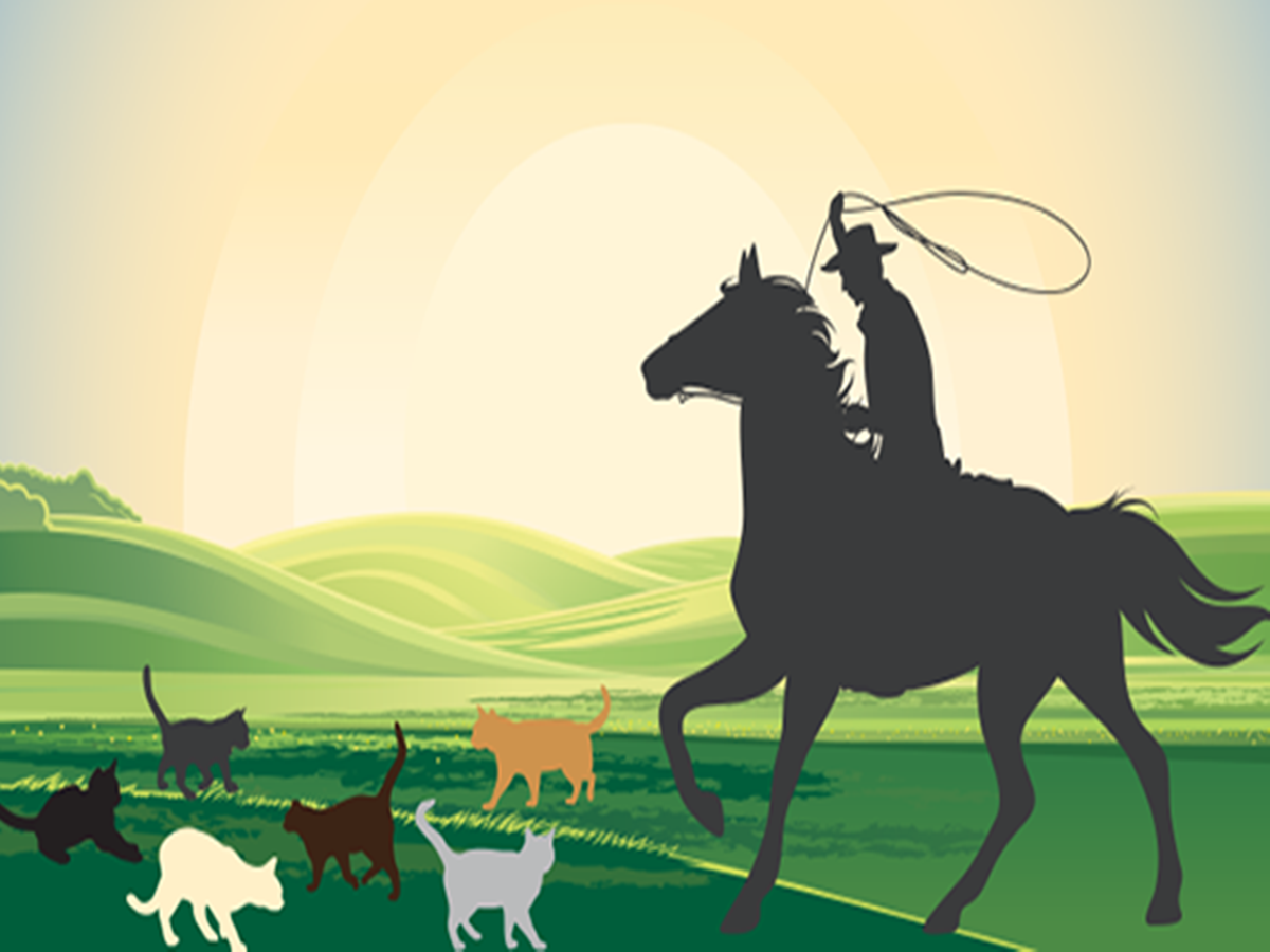 Herding cats: The 21st century marketing challenge, Marketing & Advertising  News, ET BrandEquity