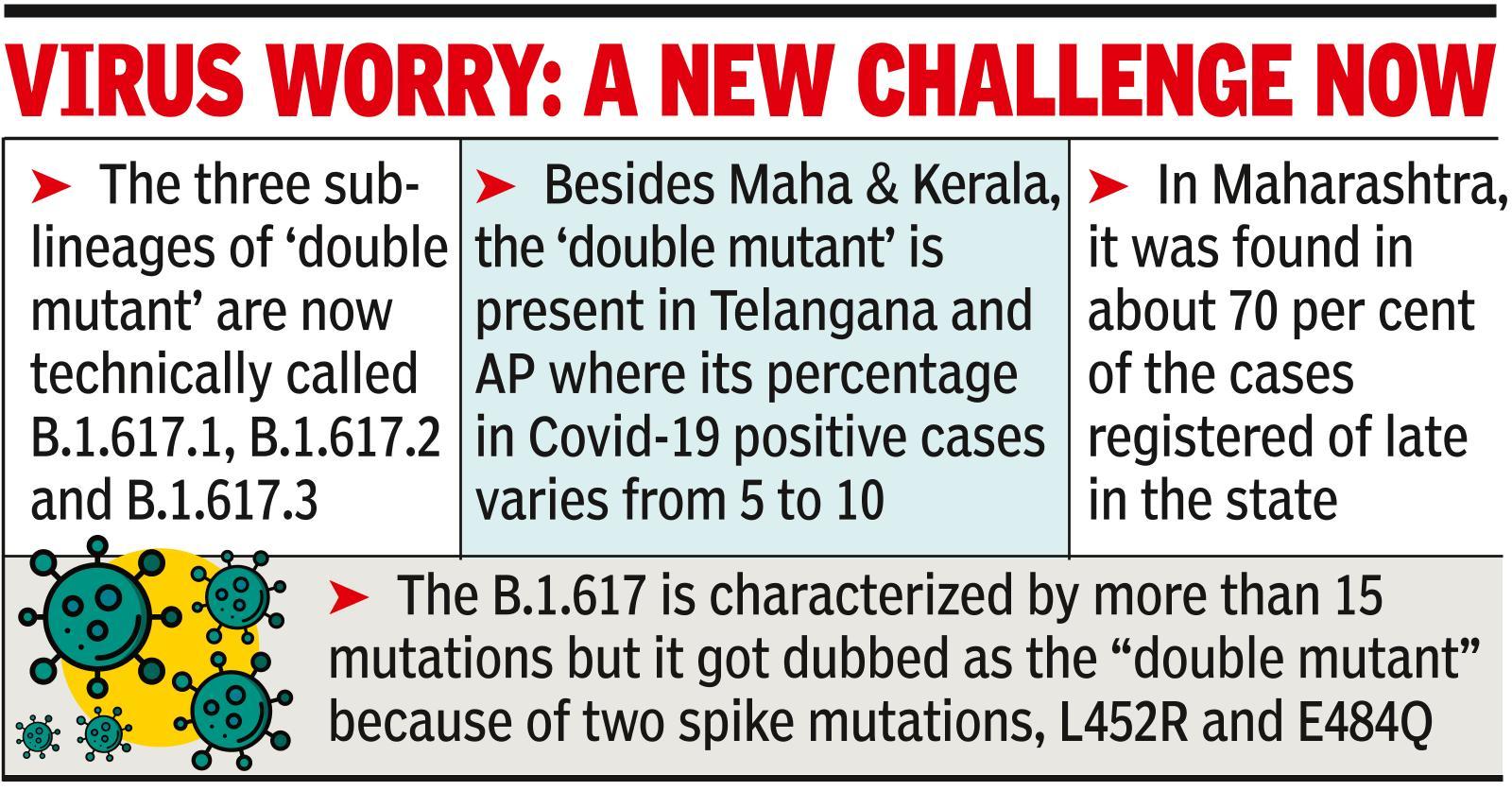 Hyderabad scientists: ‘Double mutant’ virus split 3-way