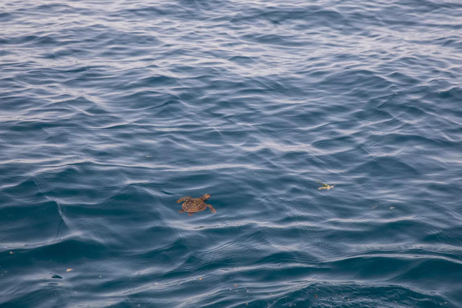 Oil spill near China's Qingdao port after ship collision in fog