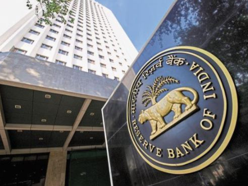 Sankar's portfolio may include the departments headed by Kanungo, which included fintech, information technology, payments system and risk monitoring.