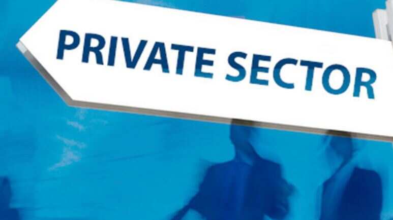 Within the private sector, while the financial support made up for more than lost household (disposable) income in Australia, Canada and the US, households in India and South Africa incurred 61-68 per cent of economic losses during the year.