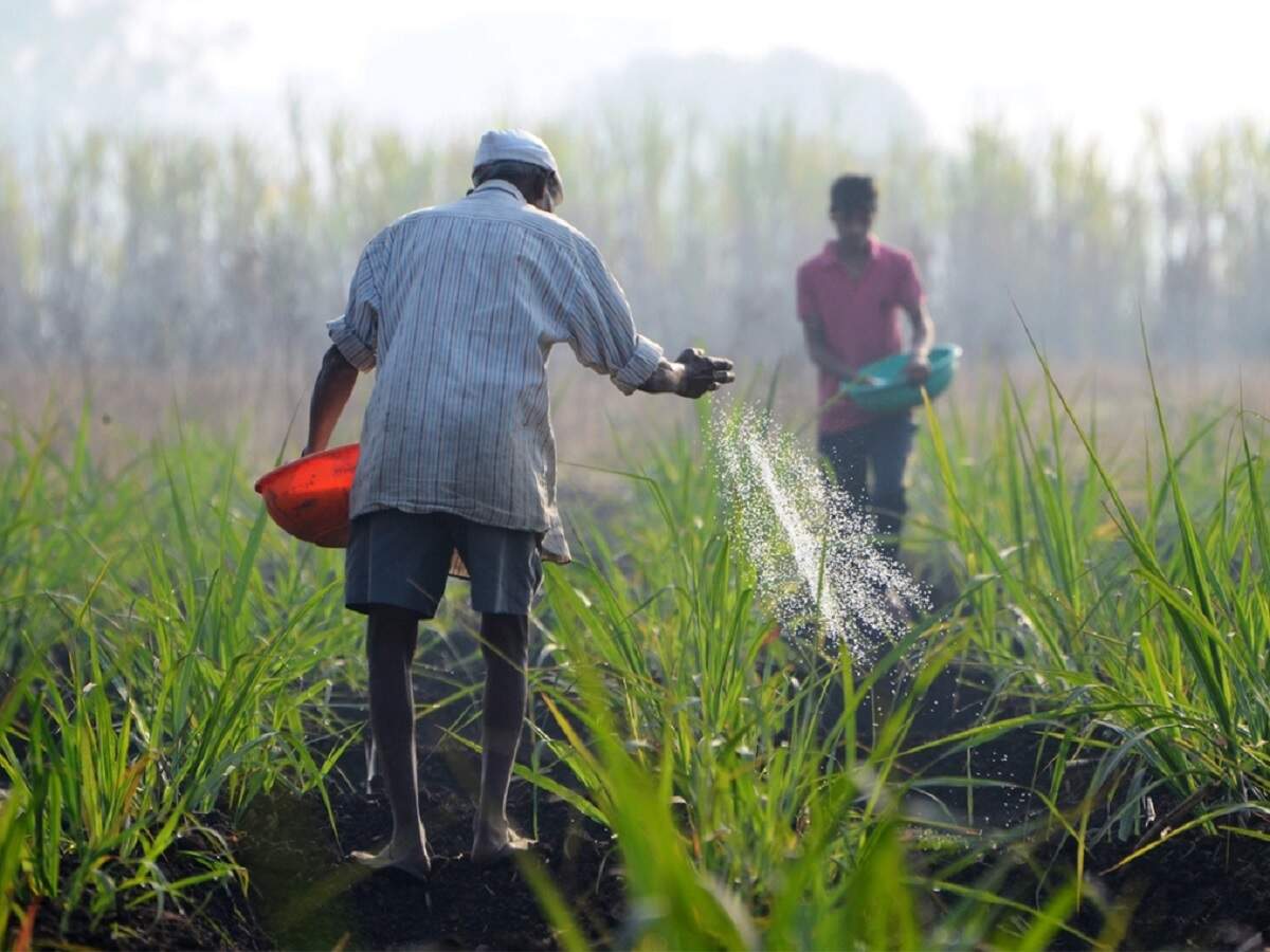 The monsoon’s progress in the coming weeks holds the key to farm incomes and rural demand at a time when manufacturing and services sectors have suffered due to the coronavirus pandemic. Agriculture accounts for about 18% of India’s economy.