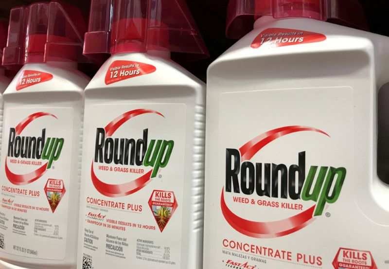 Bayer loses another appeal against Roundup cancer verdict