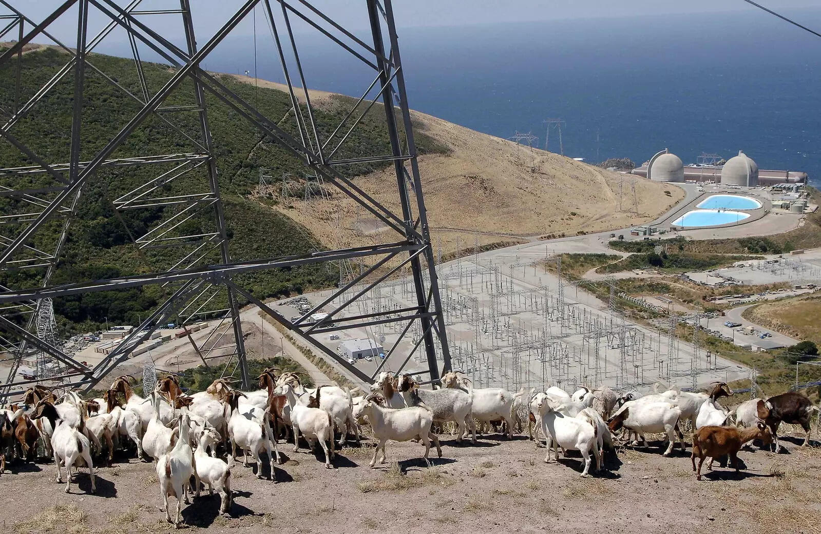Saving nuclear plant could help California hit climate goals -report