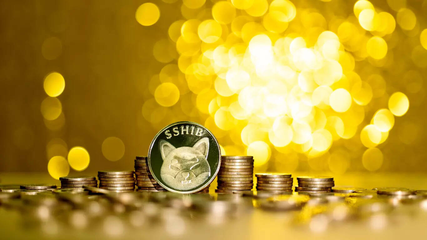 Shiba Inu 