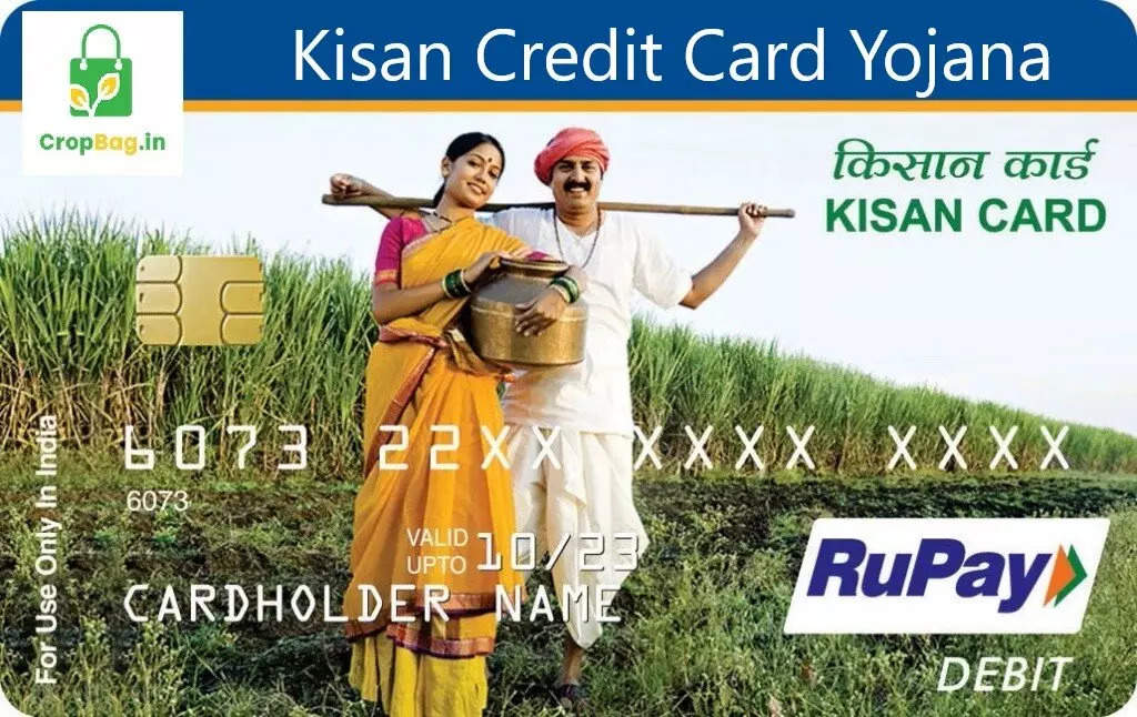 Nationwide campaign launched to provide Kisan Credit Card facility to all  eligible animal husbandry, dairy and fishery farmers, Government News, ET  Government