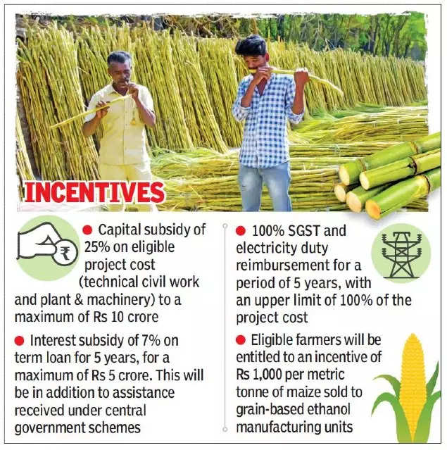 Gujarat: Policy to promote ethanol production soon
