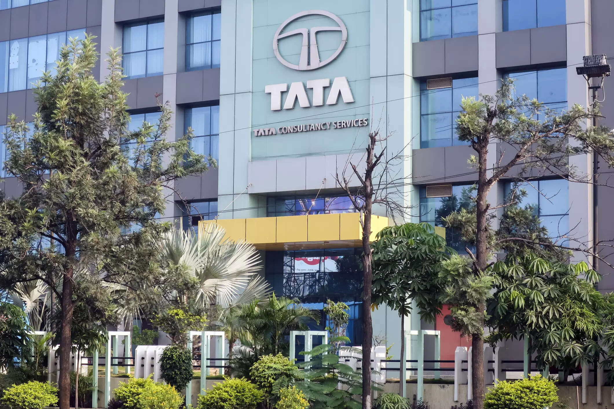  Nelco, Tata Elxsi, Tata Power Company, Automobile Corporation of Goa, Tata Motors and Tata Coffee are some other shares which have rallied 100-260 per cent this year.
