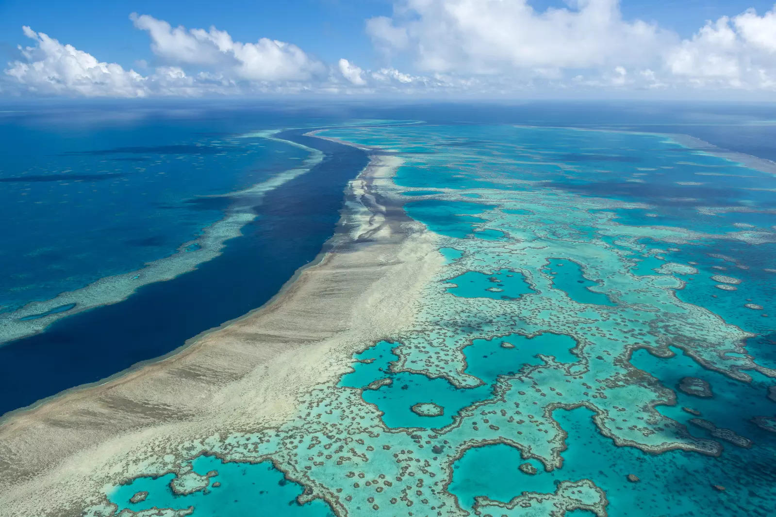 Australian govt announces $703 mn funding for Great Barrier Reef