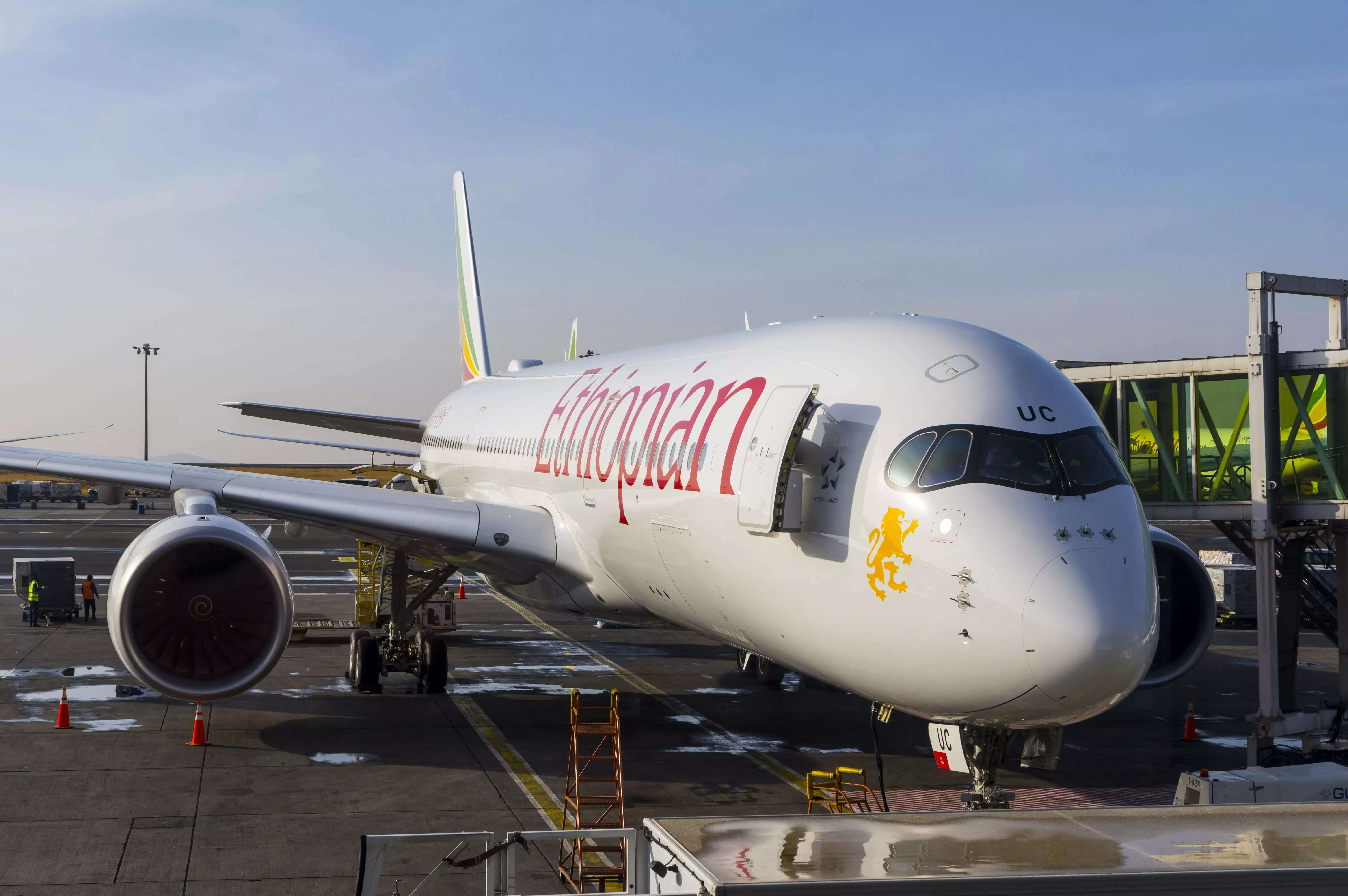 Ethiopian Airlines to resume 737 MAX flights after 2019 crash