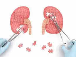 Apollo Hospitals Navi Mumbai completes 200+ kidney transplants in three years