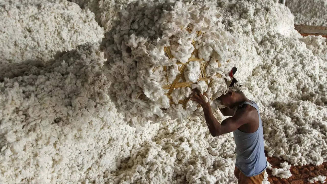 Duty free import of raw cotton to push exports of value added textiles: FIEO