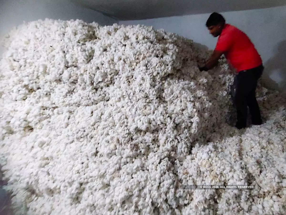 Import duty removal on cotton may help bring down prices: Textile Secy