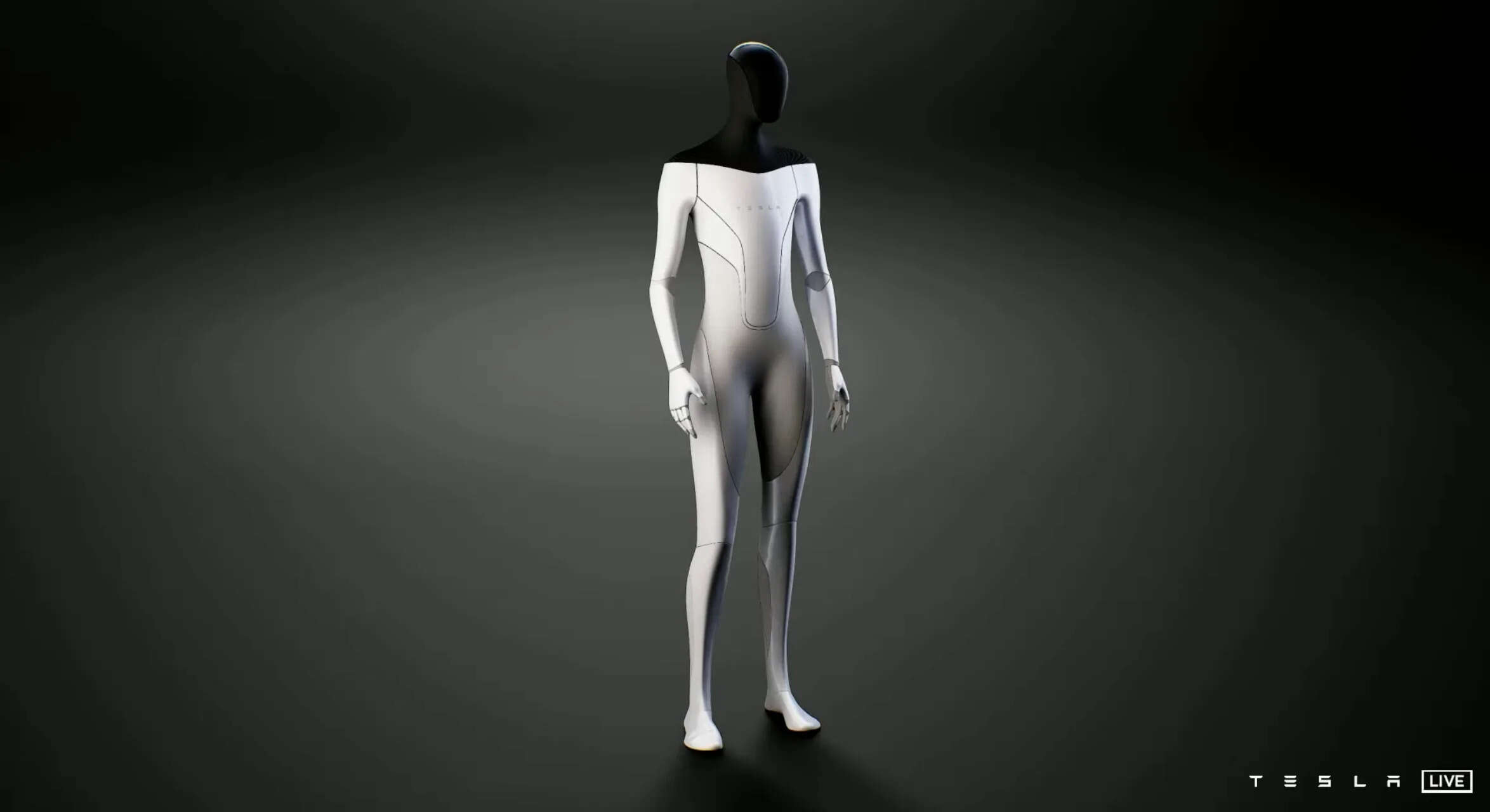  Tesla Robots 