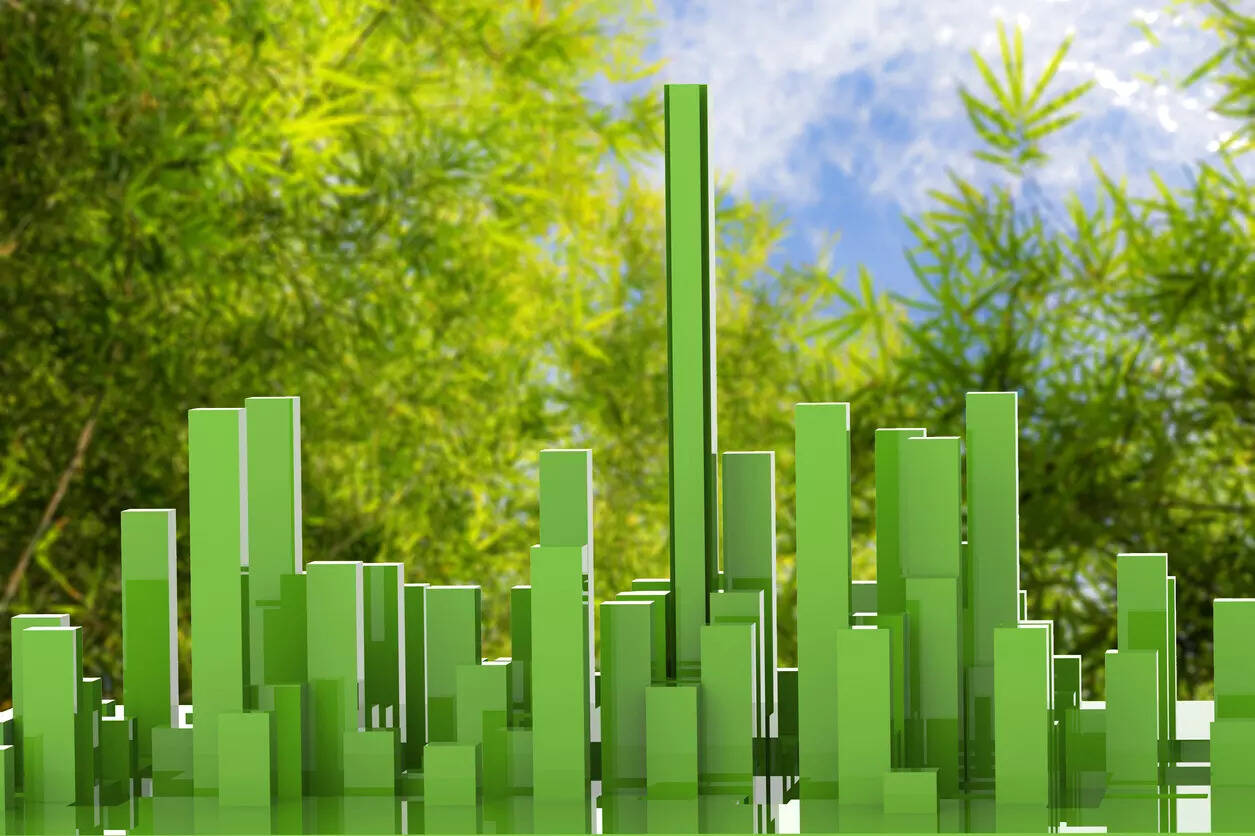 About 50% of residential complexes in Bengaluru are green: Study