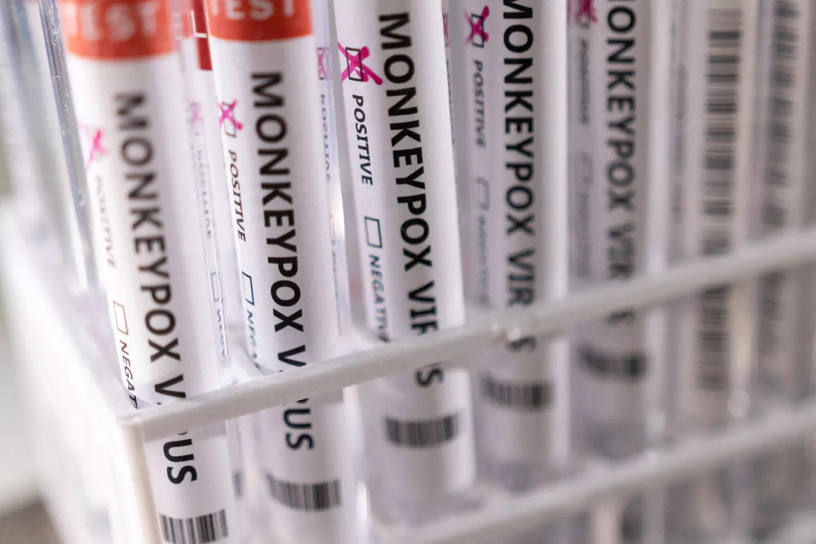 Test makers target monkeypox market as cases surge
