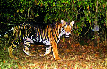 Similipal National Park closed for tourists with onset of monsoon in  Odisha, ET TravelWorld News, ET TravelWorld