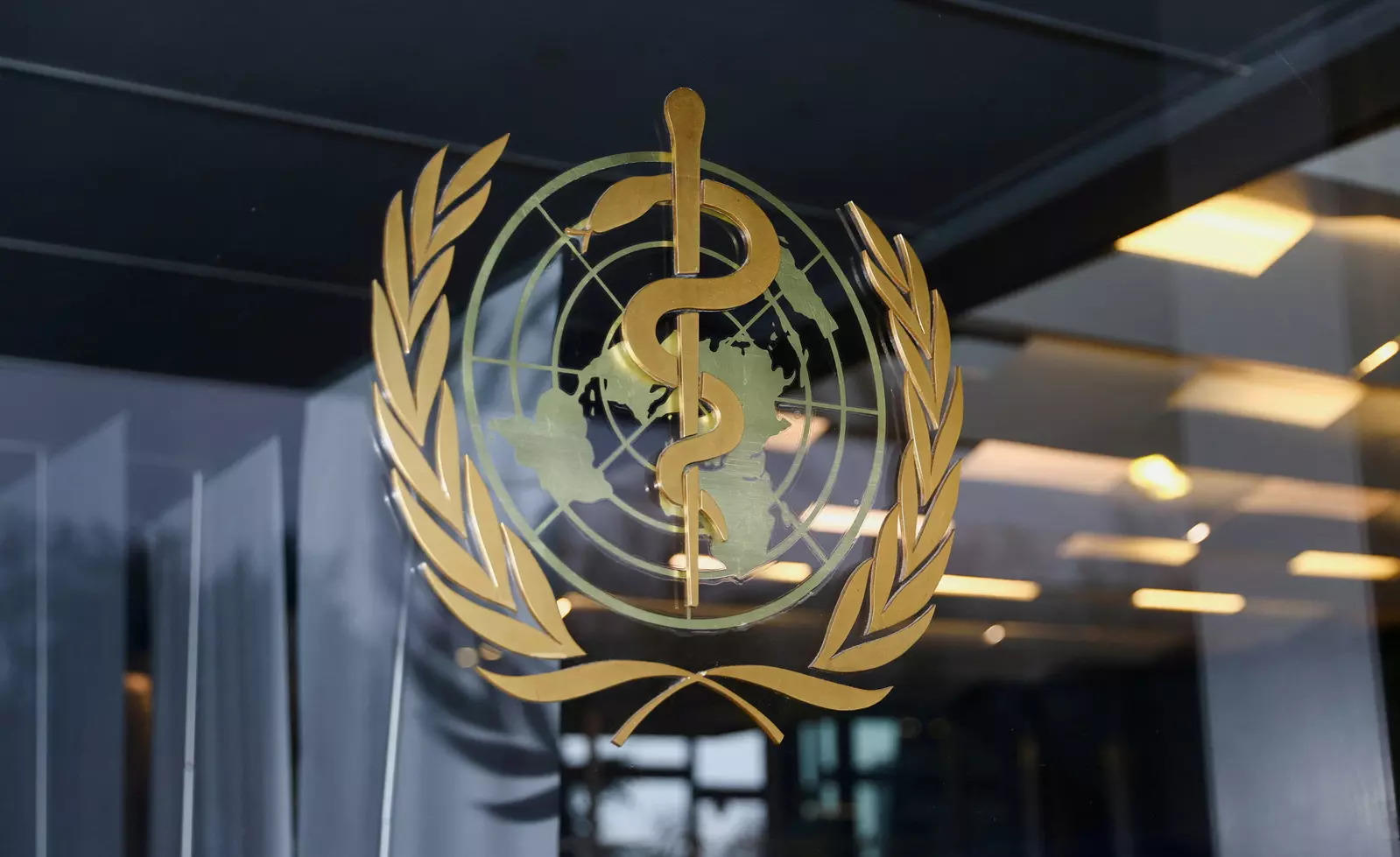 منداویا بر نیاز فوری برای ایجاد شفافیت و پاسخگویی در عملکرد سازمان جهانی بهداشت تاکید می کند