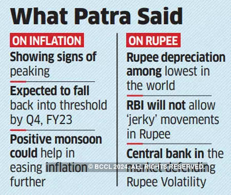 Inflation showing signs of peaking, RBI actions may be moderate: Michael Patra