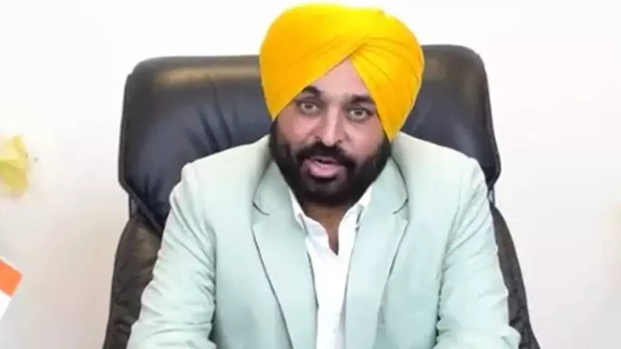 Punjab: Punjab households to get 300 units of free electricity from  today:CM Bhagwant Mann, Energy News, ET EnergyWorld