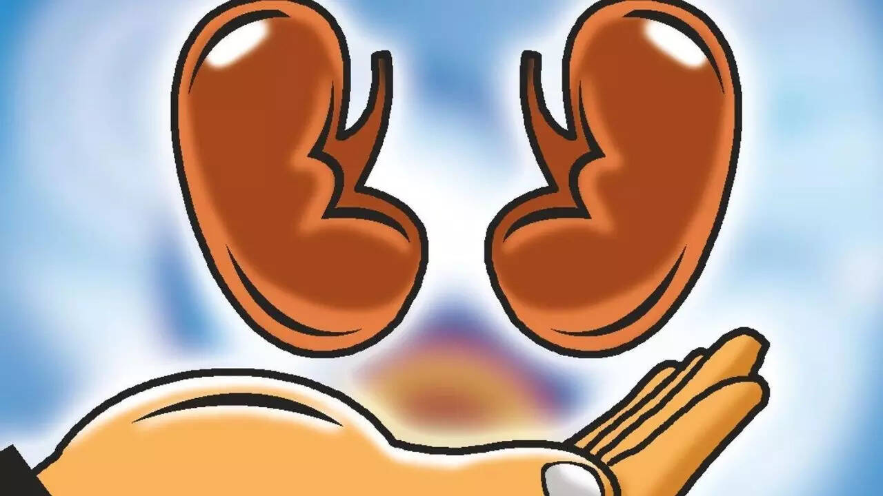 Noida hospital performs over 1,000 organ transplantations