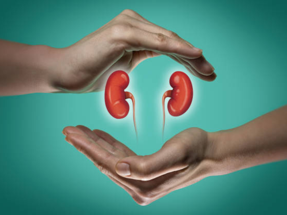 Understanding timeframes for kidney failure and related treatment